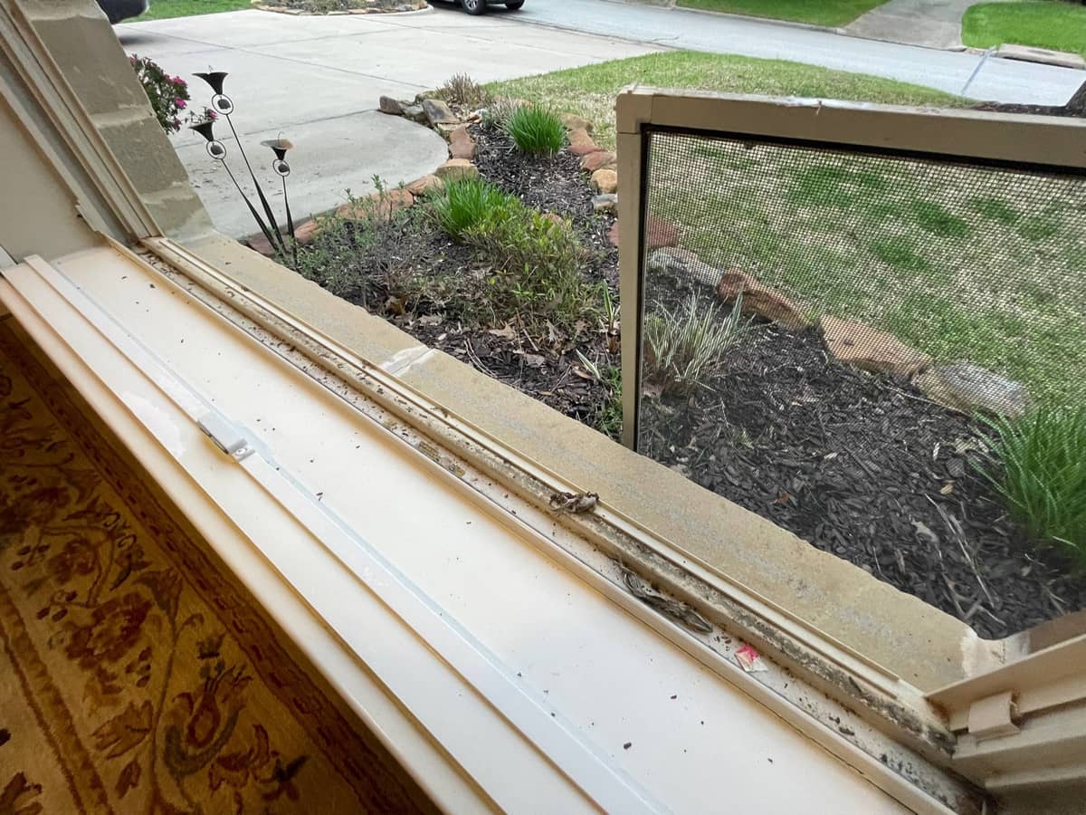 Exterior Home Cleaning in Huntsville, TX