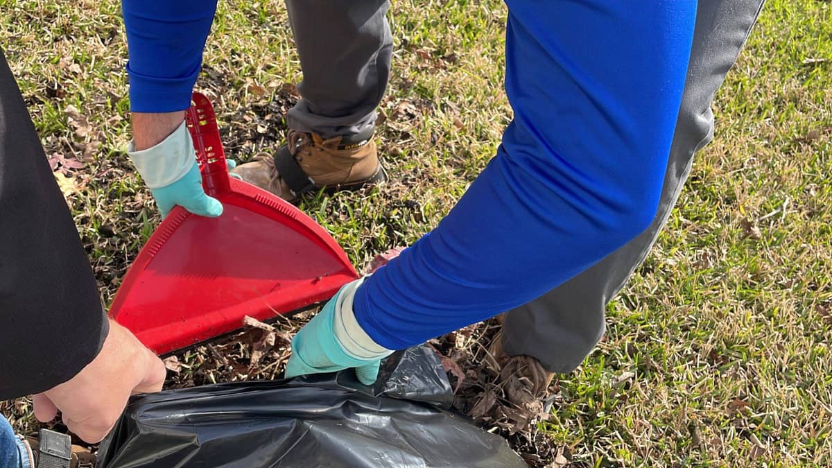 Gallon-sized trash bags of gutter debris removed from this Shenandoah, TX roofline